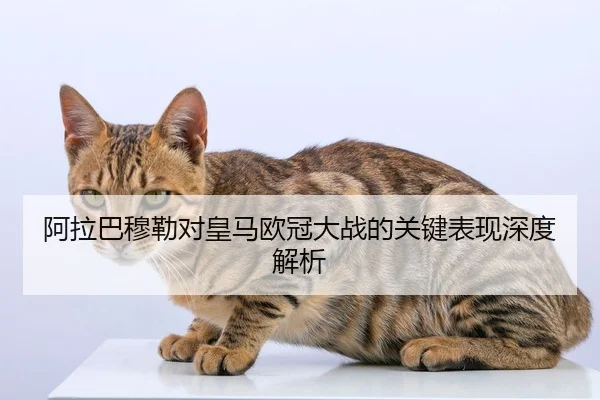 阿拉巴穆勒对皇马欧冠大战的关键表现深度解析